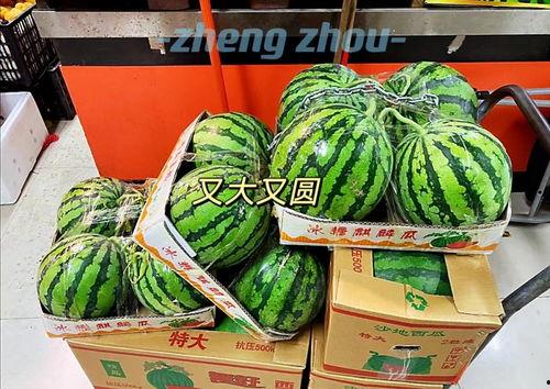 郑州尉氏吃瓜,探寻郑州尉氏的美食风情