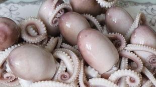 塞章鱼事件吃瓜,一场惊心动魄的海洋奇遇