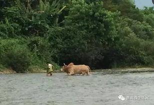 吃瓜群众猴仔,揭秘娱乐圈幕后故事